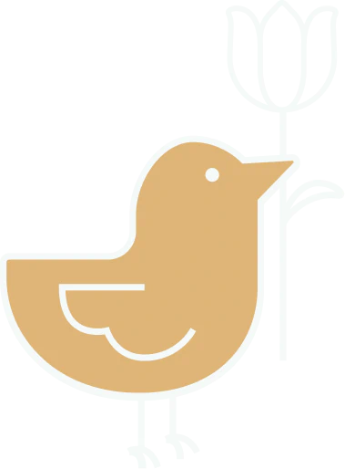 Mobile_Services_Options_Made