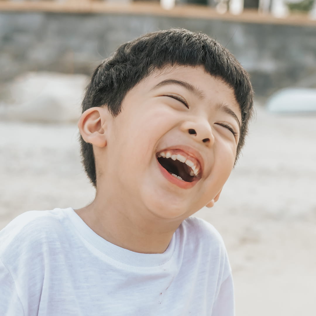 Fillings2 AdobeStock 521786875 cropped 1